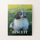 Recherche de chien puzzles Animal