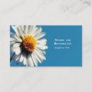 Suche nach dämmerung visitenkarten Himmel