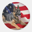 Suche nach schaferhund magnete Welpe