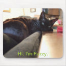 Suche nach flockig Katze