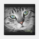 Recherche de dame de magnets Animaux