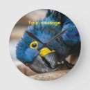 Recherche de parrots horloges Macaw