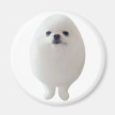 Recherche de oeufs de cuisine magnets Pour elle