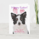 Suche nach lustige border collie karten Urlaub
