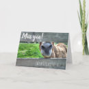 Recherche de mule vœux cartes Drôle