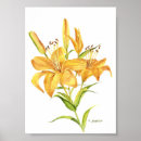 Suche nach lilien aquarell poster Botanisch