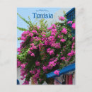 Recherche de tunis tunisie cartes postales Afrique