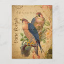 Recherche de pèlerin cartes postales Oiseau