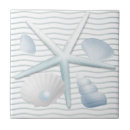 Suche nach muscheln fliesen Seashell