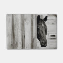 Suche nach schwarzes pferd post it Tier