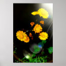 Suche nach wilde blumen poster Blüte