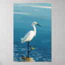 Suche nach wasservögel poster See
