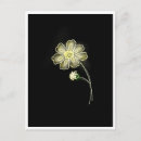 Recherche de lueur cartes postales Fleur
