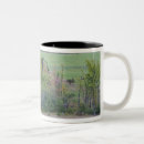 Recherche de tracteur vert tasses Ferme