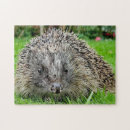 Suche nach igel puzzle Wild lebende tiere