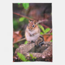 Recherche de faune cuisine linges Animal