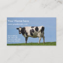 Recherche de vache holstein cartes visite Laiterie