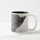 Recherche de russe bleu tasses Nature