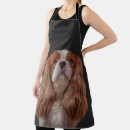 Recherche de cavalier tabliers Mignon
