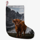 Recherche de vaches chaussette de noël Vert