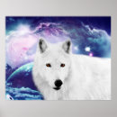 Suche nach polarlichter poster Tiere