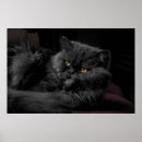 Suche nach persische katze kunst Katzen