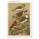 Suche nach liedvogel Vintag