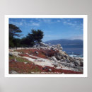 Suche nach monterey bucht poster Meer