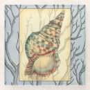 Recherche de coquillage dessous de verres Océan