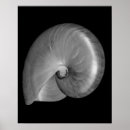Suche nach nautilus poster Ozean