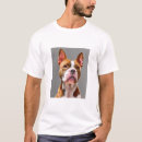 Recherche de pit bull tshirts Amant