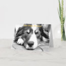 Suche nach schwarzer schäferhund karten Weihnachten