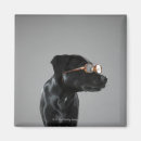 Suche nach verkleidung magnete Hund