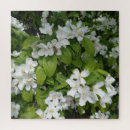 Recherche de parfum puzzles Fleurs