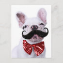 Recherche de de moustache cartes postales Bulldog