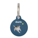 Suche nach ball hundezubehör Terrier