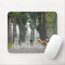 Suche nach schöne hunde mousepads Niedlicher hund