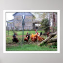 Suche nach betrieb poster Tiere