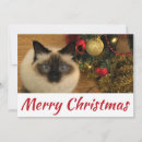 Suche nach weihnachtsgrüße poster Froh