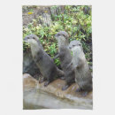 Recherche de loutres cuisine linges Faune
