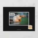 Recherche de dis cartes postales Je peux avoir cheezburger