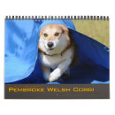 Suche nach pembrokewalisercorgi Corgis