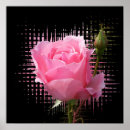 Recherche de éclaboussure posters Rose