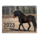 Suche nach horses kalender Equine