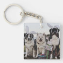 Recherche de bergers australiens accessoires Australishepherd