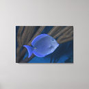 Suche nach seitenansicht leinwandbilder Ganze länge