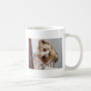 Recherche de pékin tasses Chiot