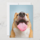 Suche nach tongue karten Hund