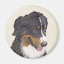 Suche nach berner sennenhund andere magnete Welpe