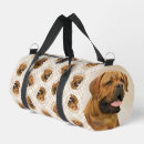 Suche nach dogue de bordeaux Franzose